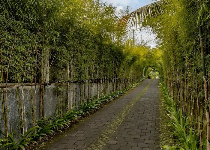 Umah Kawan Ubud
